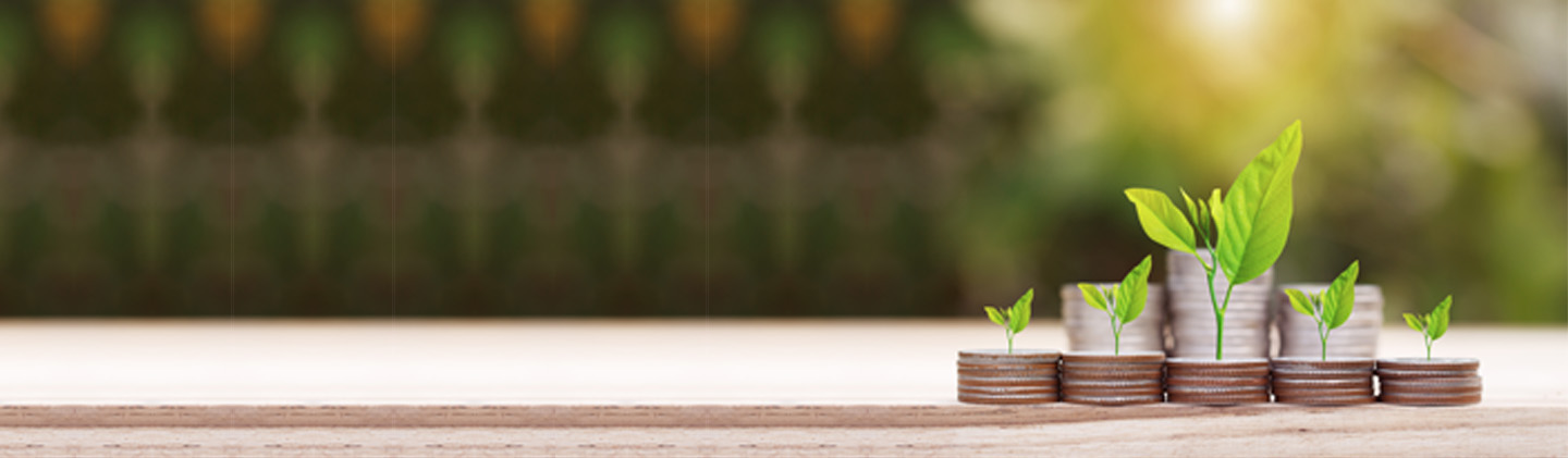 How To Invest In Mutual Funds In 2024